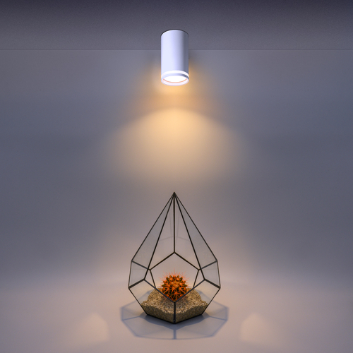 Накладной светильник Wolta Moderno WSL-GU10/02W изображение в интернет-магазине Cramer Light фото 2