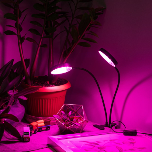 Настольная лампа Эра FITO-20W-АLED-R Б0053290 изображение в интернет-магазине Cramer Light фото 5