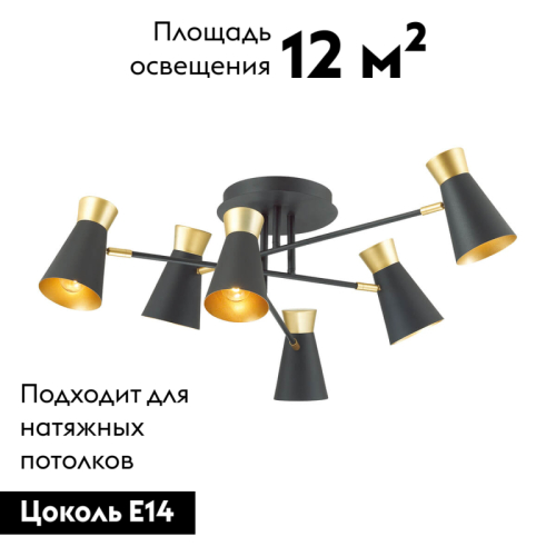 Потолочная люстра Lumion Liam 3790/6C изображение в интернет-магазине Cramer Light фото 2