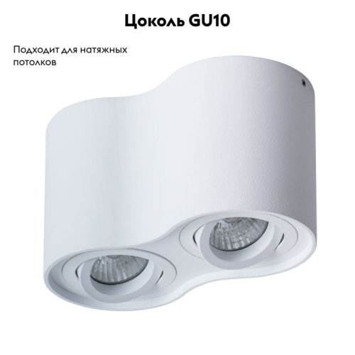 Потолочный светильник Arte Lamp Falcon A5645PL-2WH изображение в интернет-магазине Cramer Light фото 2