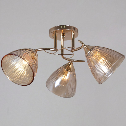 Потолочный светильник Reluce 02560-0.3-03 FG изображение в интернет-магазине Cramer Light