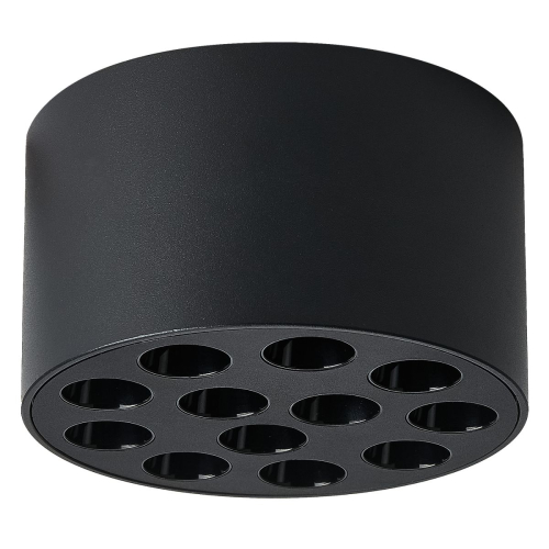 Потолочный светильник Lightstar Guarda 080947 изображение в интернет-магазине Cramer Light