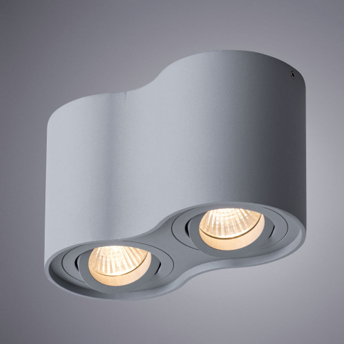 Потолочный светильник Arte Lamp Falcon A5645PL-2GY изображение в интернет-магазине Cramer Light фото 3