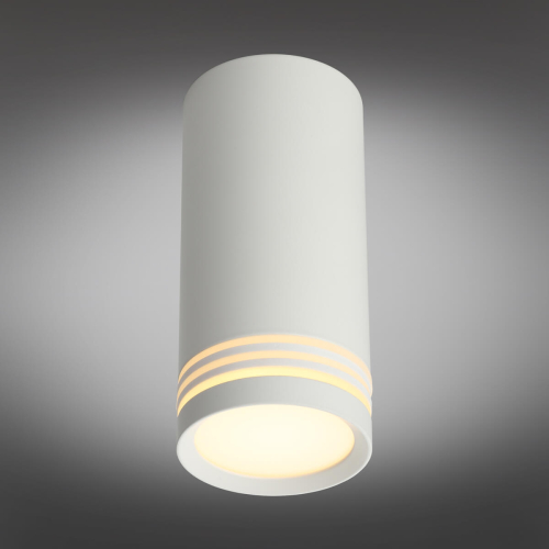 Потолочный светильник Omnilux Olona OML-100809-01 изображение в интернет-магазине Cramer Light фото 5