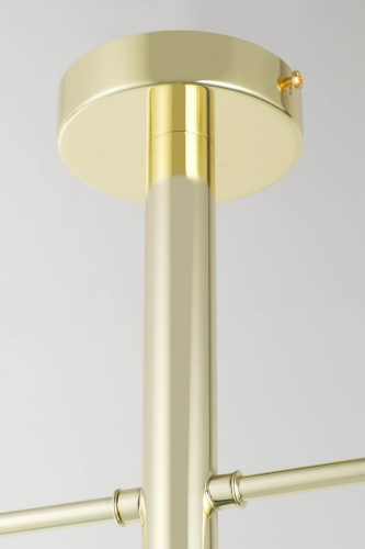 Потолочный светильник Lampit Fino TP 2007-2 GD изображение в интернет-магазине Cramer Light фото 2