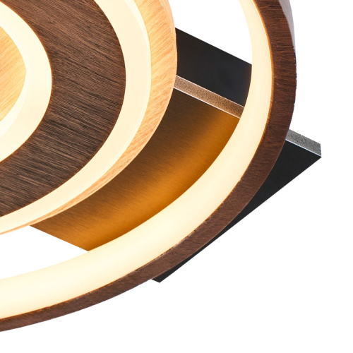 Потолочный светильник F-Promo Labrea 4699-1C изображение в интернет-магазине Cramer Light фото 3