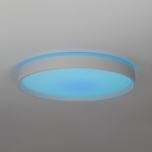 Потолочный светильник Citilux Boss CL751450G изображение в интернет-магазине Cramer Light фото 8