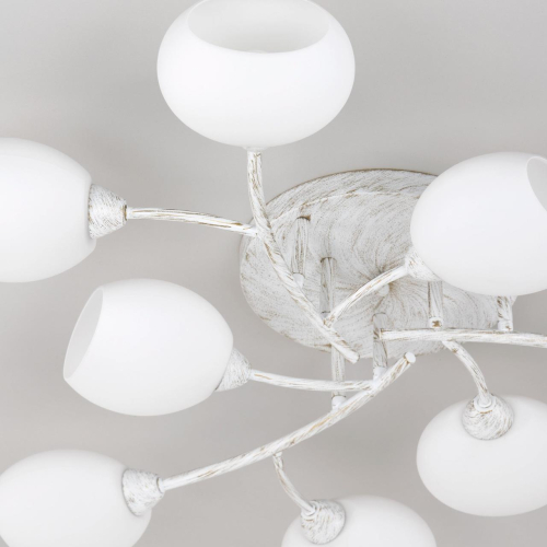 Потолочная люстра Citilux Флорида CL148190 изображение в интернет-магазине Cramer Light фото 14