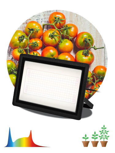 Фитопрожектор Эра FITO-150W-Ra90-LED Б0059880 изображение в интернет-магазине Cramer Light фото 7