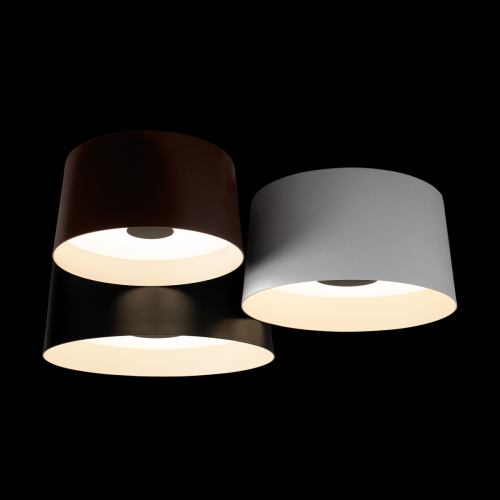 Потолочный светильник Loft IT Duo 10360/3 изображение в интернет-магазине Cramer Light фото 4
