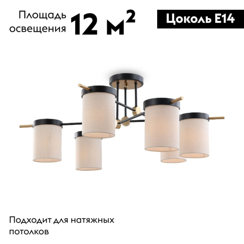 Потолочная люстра Freya Bogy FR5377CL-06B изображение в интернет-магазине Cramer Light фото 2