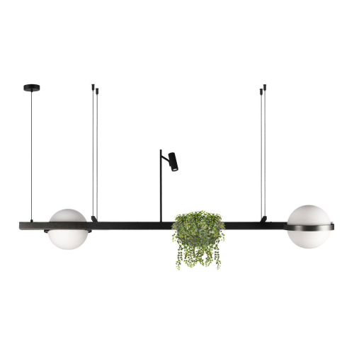 Подвесной светильник Loft IT Jardin 10121/D изображение в интернет-магазине Cramer Light