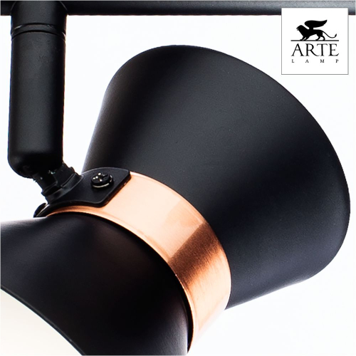 Спот Arte Lamp Baltimore A1406AP-2BK изображение в интернет-магазине Cramer Light фото 3