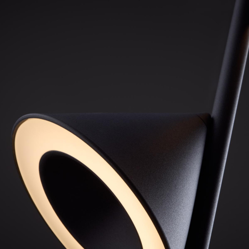 Подвесной светильник Freya Etro FR6141PL-L14B изображение в интернет-магазине Cramer Light фото 3