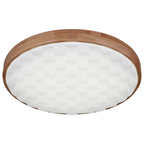 Потолочный светильник Reluce 60530-0.2-60W изображение в интернет-магазине Cramer Light фото 4