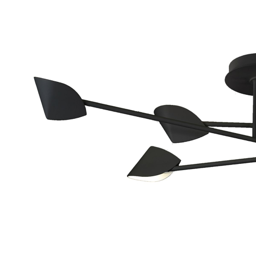 Потолочная люстра Mantra Capuccina 7580 изображение в интернет-магазине Cramer Light фото 3