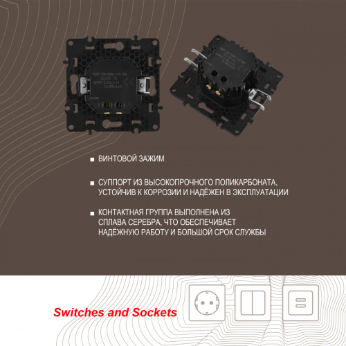 Розетка USB 2.1А+1А Arte Milano 217.46-1.shampan дополнительное фото фото 2