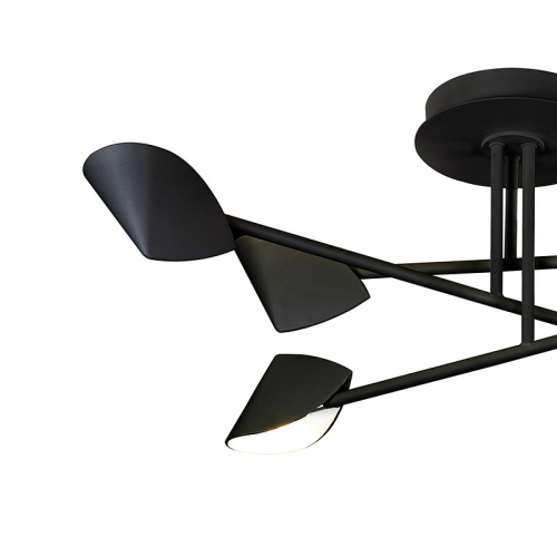 Потолочная люстра Mantra Capuccina 7581 изображение в интернет-магазине Cramer Light фото 3