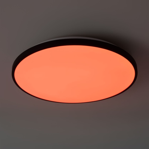 Потолочный светильник Freya Obelle FR6211CL-L24B изображение в интернет-магазине Cramer Light фото 13