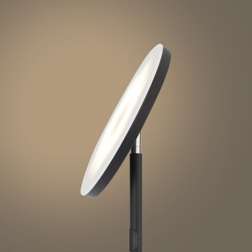 Торшер Freya Mirasol FR6148FL-L36B изображение в интернет-магазине Cramer Light фото 11