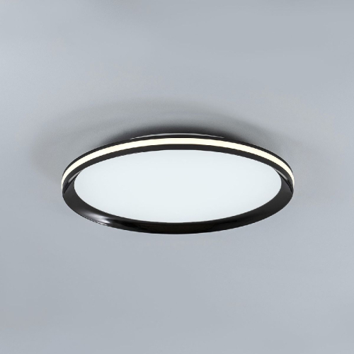 Потолочный светильник LED4U L3020-400 BK изображение в интернет-магазине Cramer Light фото 4