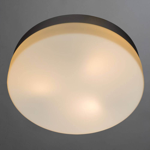 Потолочный светильник Arte Lamp Shirp A3211PL-3SI изображение в интернет-магазине Cramer Light фото 2