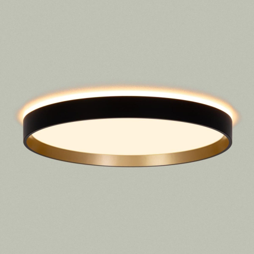 Потолочный светильник Citilux Etalon CL750321R изображение в интернет-магазине Cramer Light фото 7