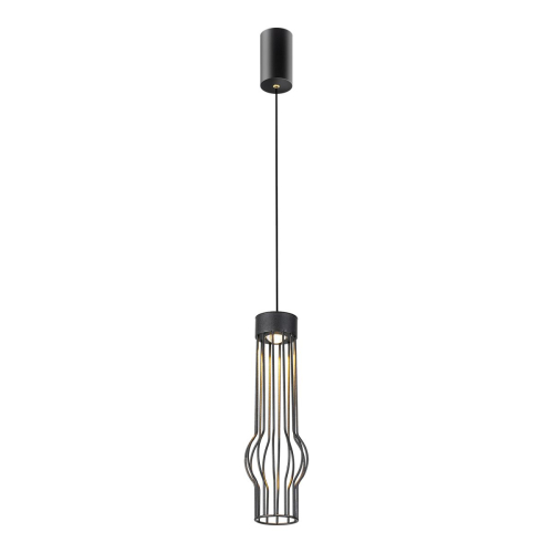 Подвесной светильник Lussole LSP-4022 изображение в интернет-магазине Cramer Light