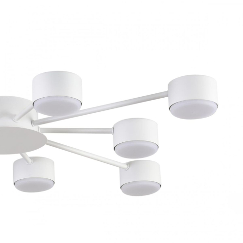 Потолочная люстра Lumion Comfi Torina 8343/10C изображение в интернет-магазине Cramer Light фото 6