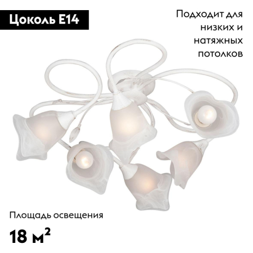 Потолочная люстра Vitaluce V3262-0/6PL изображение в интернет-магазине Cramer Light фото 2