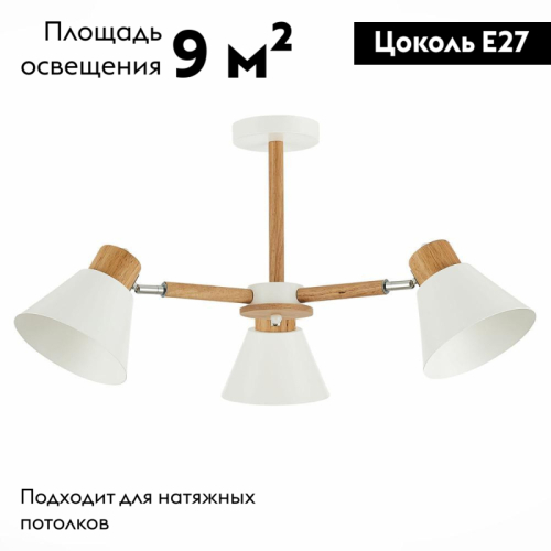 Потолочная люстра Evoluce Buve SLE103702-03 изображение в интернет-магазине Cramer Light фото 2