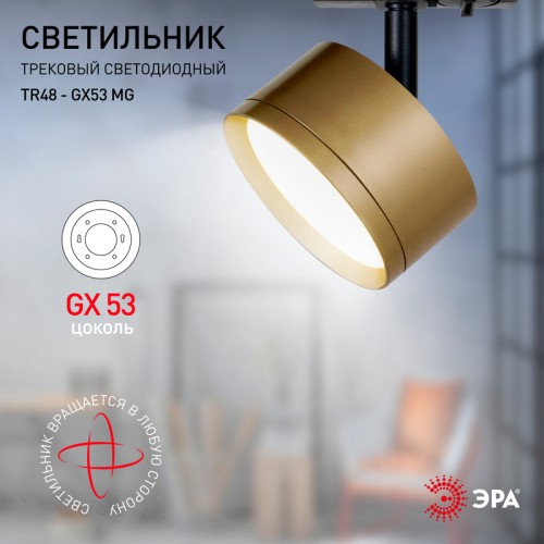 Трековый светильник Эра TR48 - GX53 MG Б0054160 изображение в интернет-магазине Cramer Light фото 6