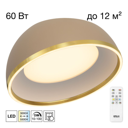 Потолочный светильник Citilux Floom CL736152 изображение в интернет-магазине Cramer Light