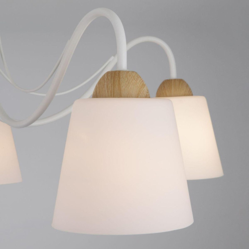 Потолочная люстра Eurosvet Betty 70062/5 белый изображение в интернет-магазине Cramer Light фото 3