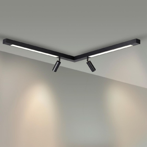 Спот Lumion Hawk 5690/19CL изображение в интернет-магазине Cramer Light фото 2