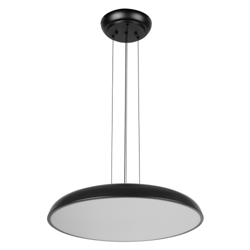 Подвесной светильник Loft IT Dime 10371P Black изображение в интернет-магазине Cramer Light