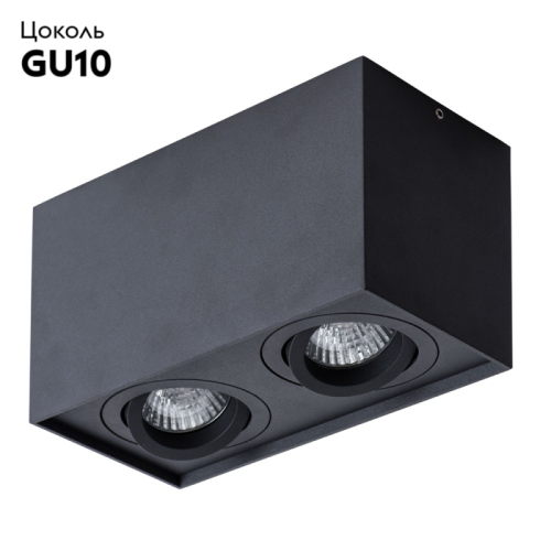 Потолочный светильник Arte Lamp Factor A5544PL-2BK изображение в интернет-магазине Cramer Light фото 2