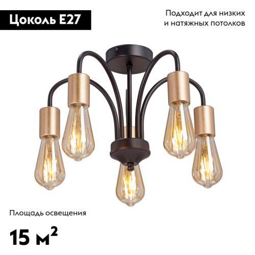 Потолочная люстра Vitaluce V3024-1/5PL изображение в интернет-магазине Cramer Light фото 2