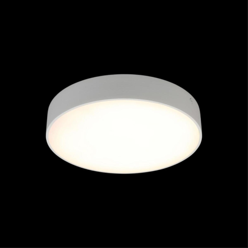 Потолочный светильник Aployt Evon APL.0113.09.24 изображение в интернет-магазине Cramer Light фото 8