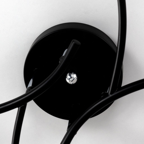 Потолочная люстра Citilux Флорида CL148145 изображение в интернет-магазине Cramer Light фото 10