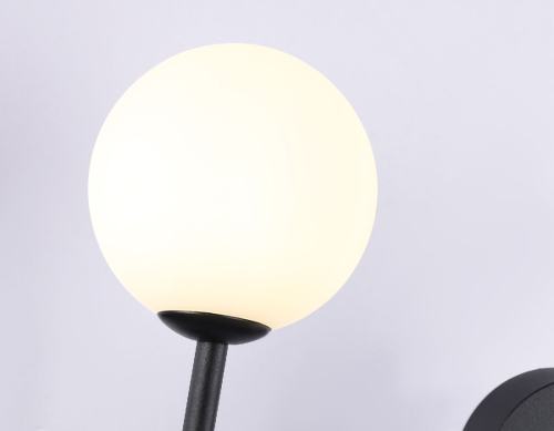 Настенный светильник Ambrella Light Comfort LineTech FL66389 изображение в интернет-магазине Cramer Light фото 4