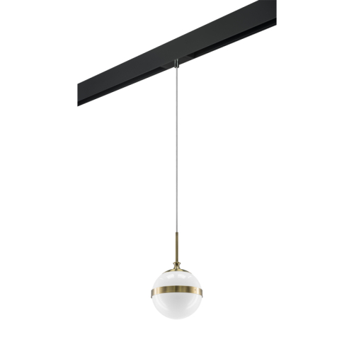 Трековый светильник Lightstar Globo PRO813111 (813111+595007) изображение в интернет-магазине Cramer Light