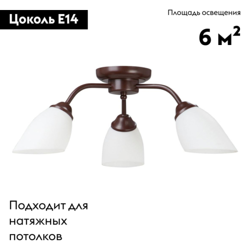 Потолочная люстра Vitaluce V3252/3PL изображение в интернет-магазине Cramer Light фото 2