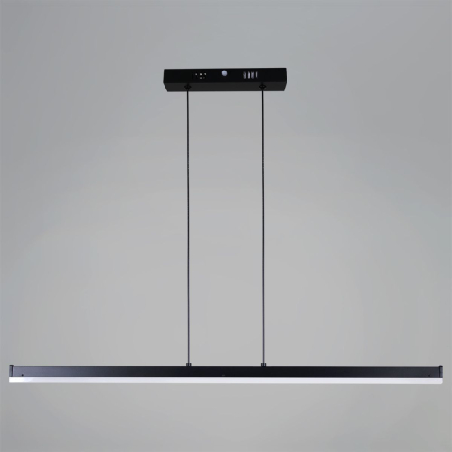 Подвесной светильник Reluce 13602-0.4-01 BK изображение в интернет-магазине Cramer Light фото 5