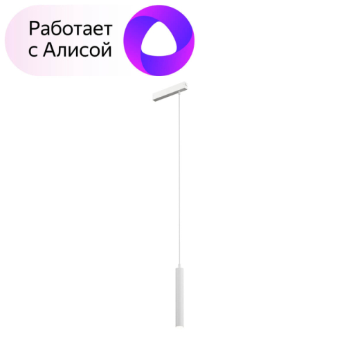 Трековый светильник Denkirs Smart DK8008-WH изображение в интернет-магазине Cramer Light