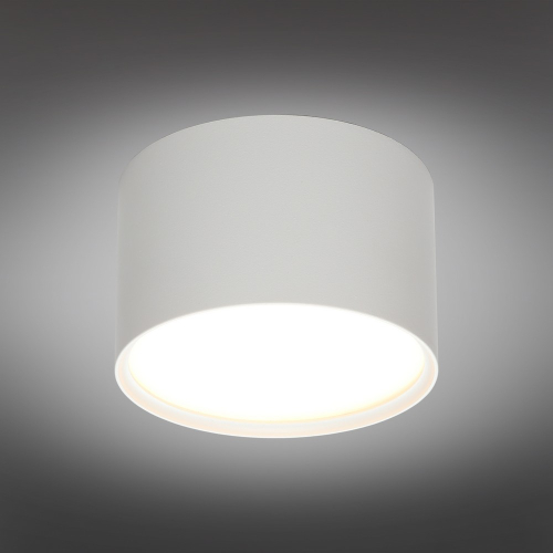 Накладной светильник Omnilux Abano OML-103309-06 изображение в интернет-магазине Cramer Light фото 7