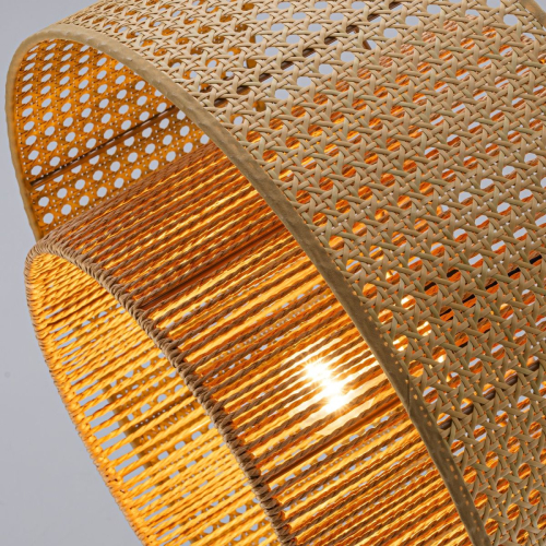 Подвесной светильник Favourite Organicum 4769-1P изображение в интернет-магазине Cramer Light фото 5