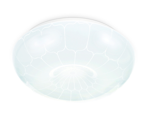 Потолочный светильник Ambrella Light Orbital Air FZ1088 изображение в интернет-магазине Cramer Light