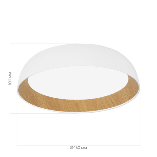 Потолочный светильник Evoluce Muse SLE1812-502-01 изображение в интернет-магазине Cramer Light фото 2