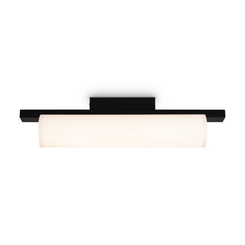 Потолочный светильник Freya Even FR5625CL-L20B изображение в интернет-магазине Cramer Light